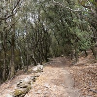 Photo de France - La randonnée des Gorges d'Héric